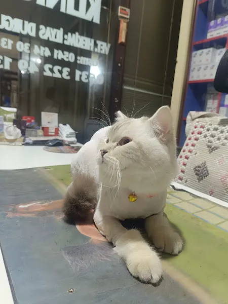 Serhat Veteriner Kliniği foto 2