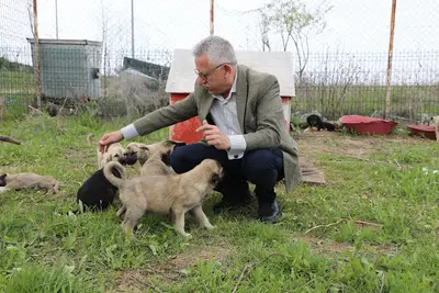 Belediye Hayvan Barınağı
