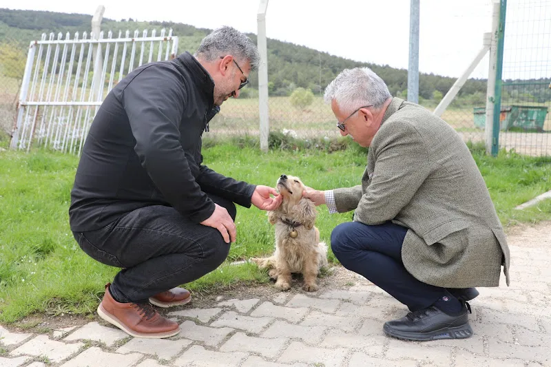 Belediye Hayvan Barınağı foto 2