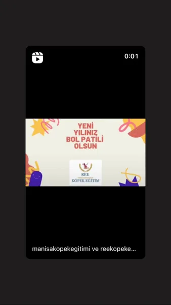 REE KÖPEK EĞİTİM foto 2