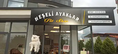 NEŞELİ AYAKLAR PET SHOP 2