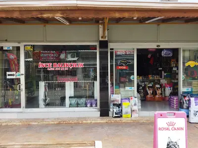 FİNİKE PETSHOP BALIK AV BAYİ