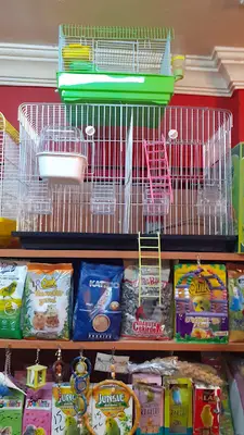 Elif petshop