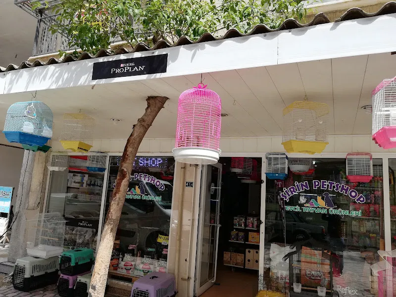 Sylvester Pet Shop foto 2