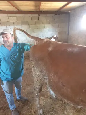 HİLVAN DERMAN VETERİNER KLİNİĞİ
