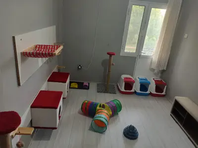 Egekent Kedi Oteli fotoğrafı