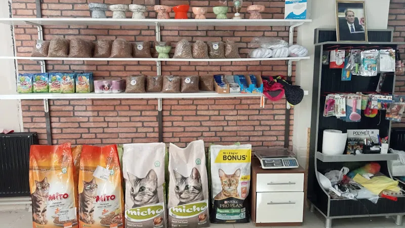 gülçin petshop foto 2