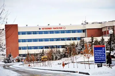Veteriner Fakültesi Uygulama ve Araştırma Hastanesi-Acil