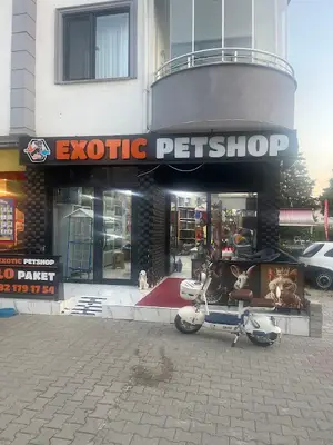 Yagız akvaryum Petshop fotoğrafı