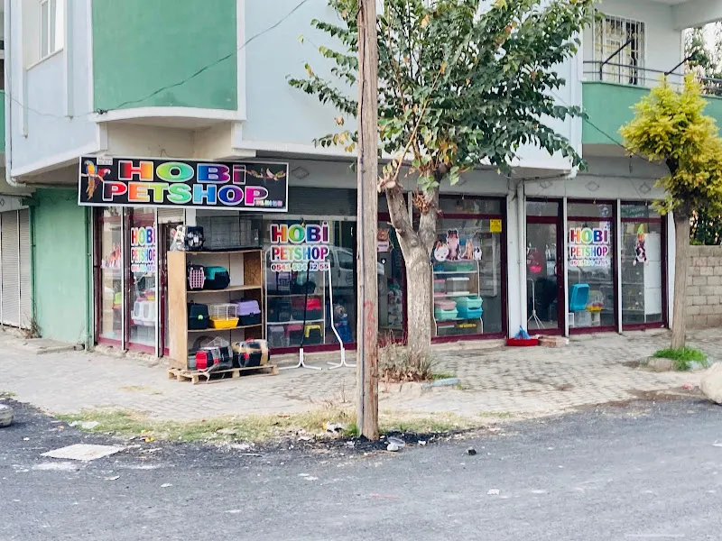 Kanarya Petshop foto 2