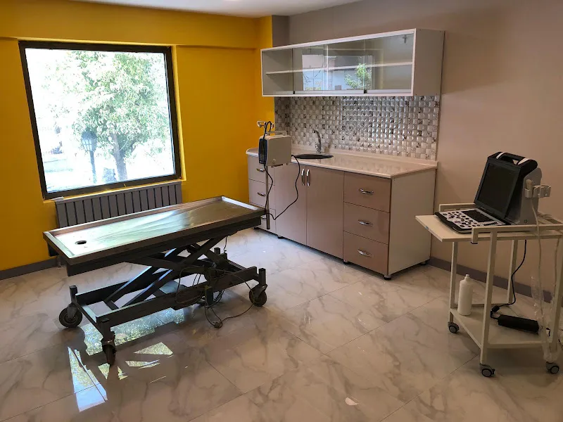 Vetpro Veteriner Kliniği foto 1
