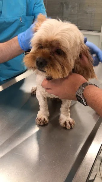 Vetpro Veteriner Kliniği foto 2