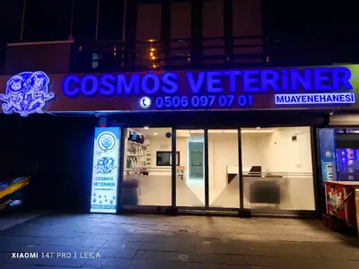Cosmos Veteriner Muayenehanesi