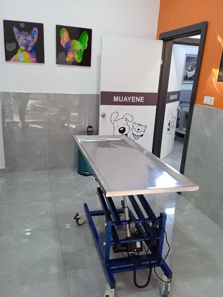 Vetamin Veteriner Kliniği foto 1