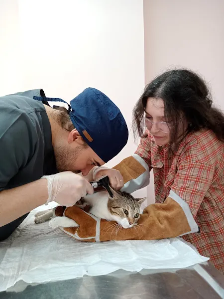 Halkalı Magic Veteriner Kliniği | Atakent | 7/24 foto 1
