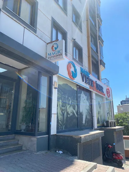 Halkalı Magic Veteriner Kliniği | Atakent | 7/24 foto 2