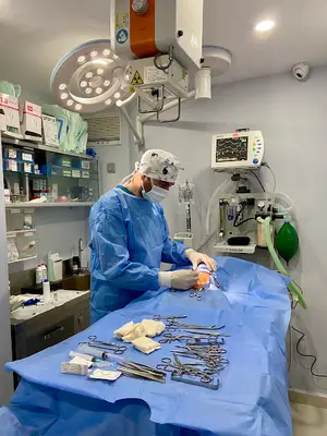 Yeşilköy Petiatri Pet ve Kuş Veteriner Kliniği