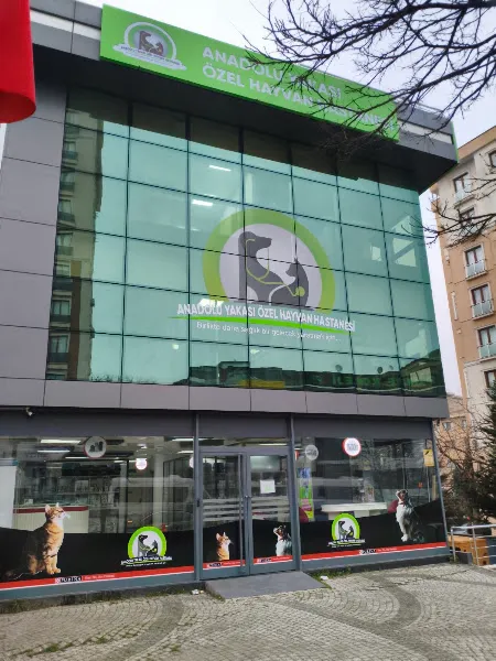 Anadolu Yakası Özel Hayvan Hastanesi foto 1