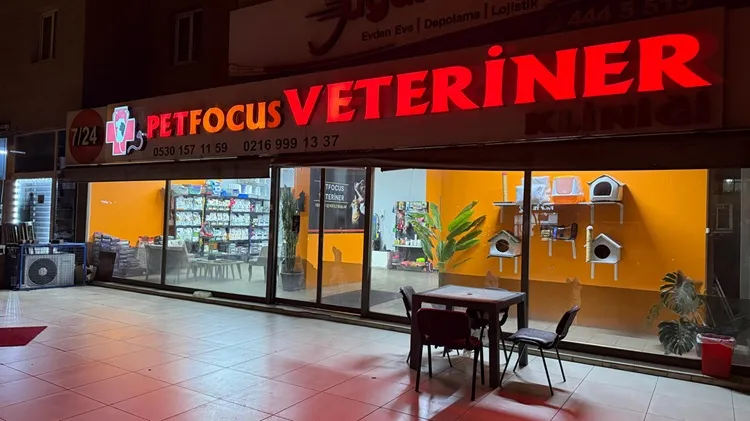 petfocus veteriner kliniği foto 1