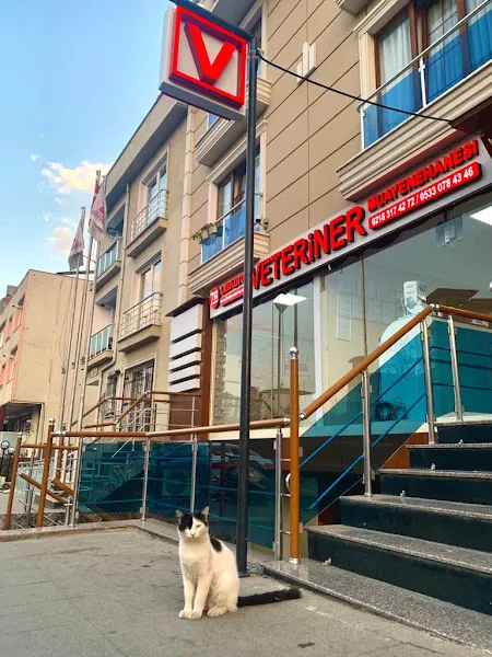 Libadiye Veteriner Kliniği foto 1