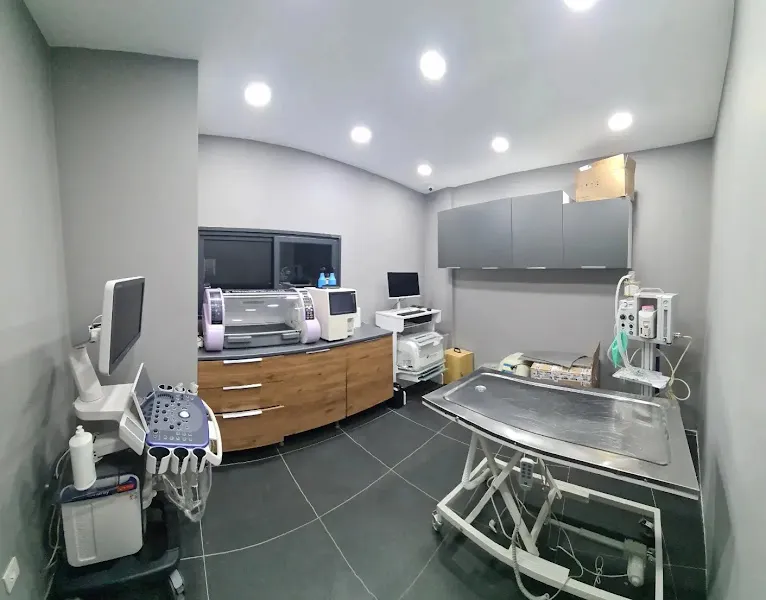 Neta Veteriner Kliniği Halkalı Küçükçekmece foto 1