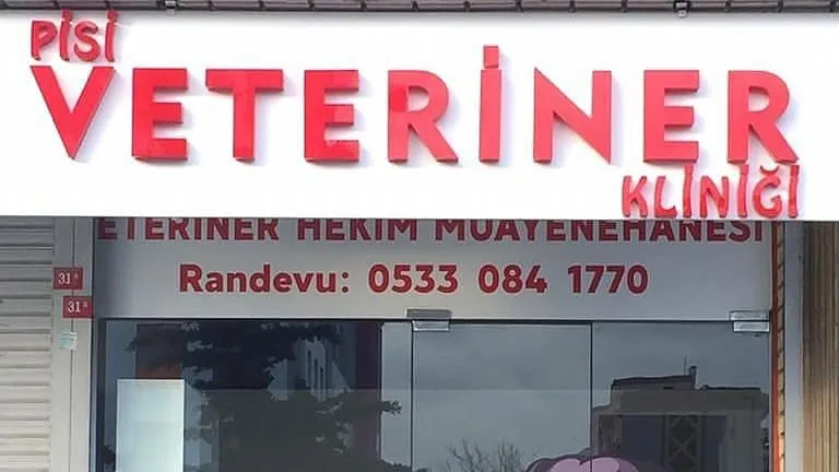 PİSİ VETERİNER KLİNİĞİ / BEYLİKDÜZÜ VETERİNER foto 1