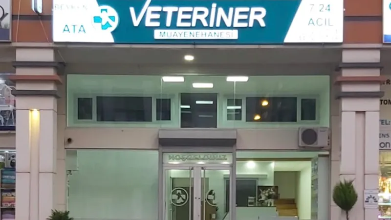 Beykent Ata Veteriner foto 1