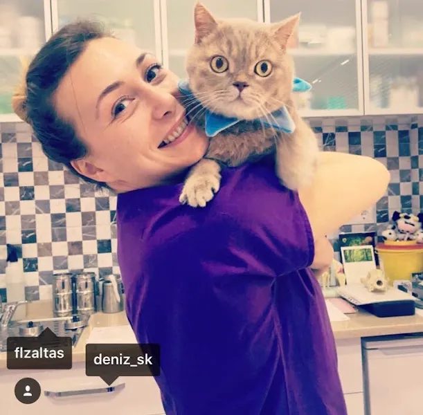 Petklinik Veteriner Klinigi foto 2