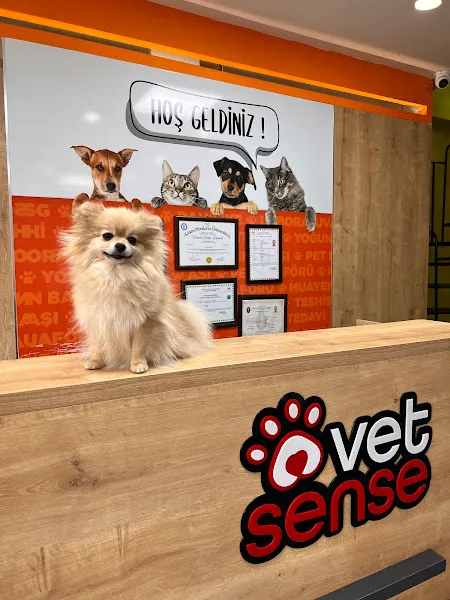 Kemerburgaz Vetsense Veteriner Kliniği foto 1