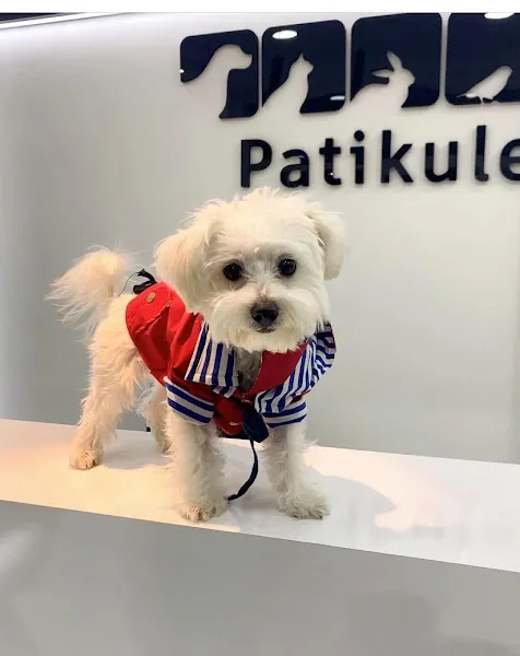 Ispartakule Patikule Veteriner Polikliniği foto 2