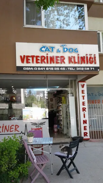 Cat & Dog Veteriner Klinigi foto 1