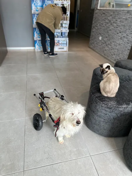Özel Talya Veteriner Kliniği foto 2