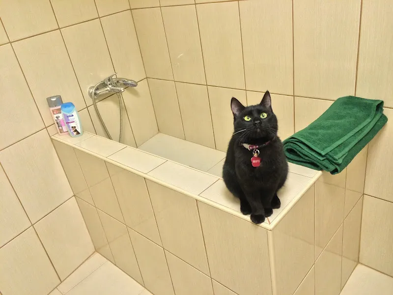 VetTeam Veteriner Kliniği foto 2