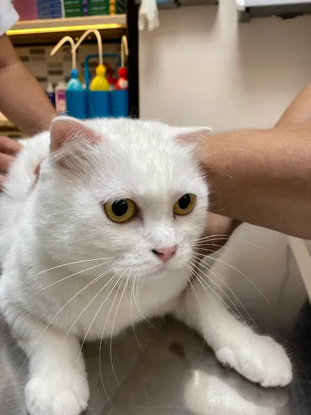 Vet Zone Veteriner Kliniği foto 1