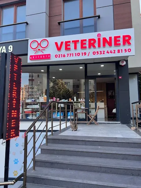 Gözlüklü Veteriner Kliniği foto 1