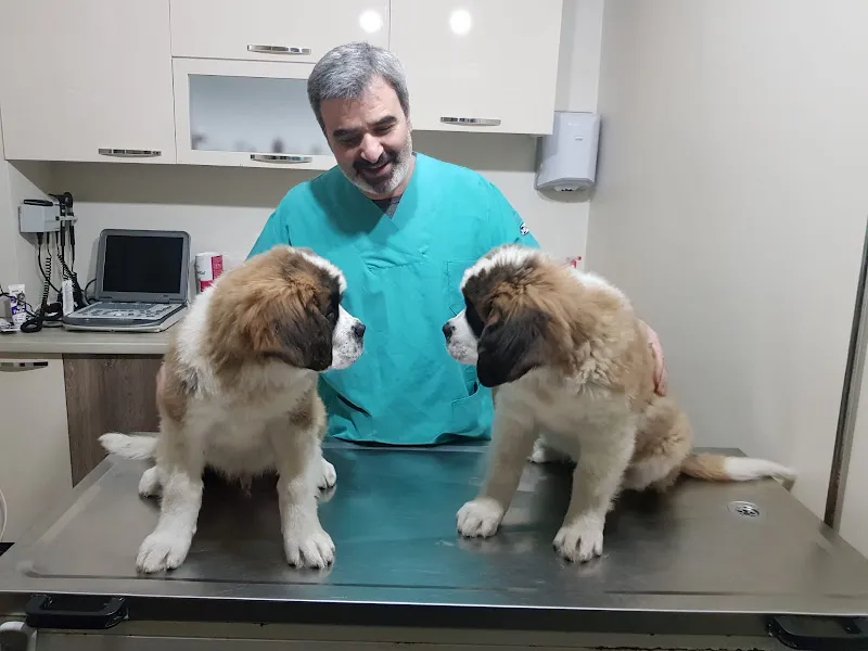 Gözde Veteriner Kliniği foto 2