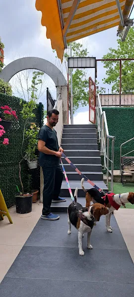 Petmania Veteriner Kliniği foto 1