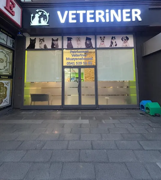 Petriumvet Veteriner Kliniği foto 1