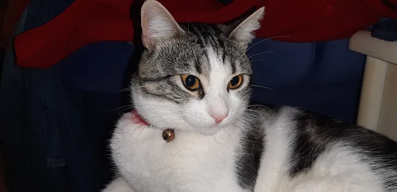 uzman veteriner kliniği foto 1