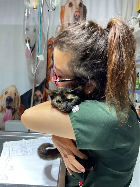 Ayazağa Veteriner Kliniği foto 1