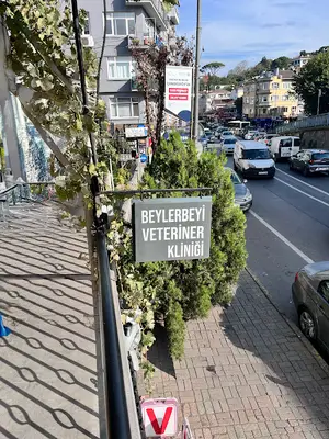 Beylerbeyi Veteriner Kliniği