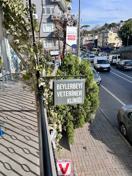 Beylerbeyi Veteriner Kliniği foto 1