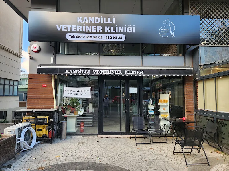 Kandilli Veteriner Kliniği foto 1