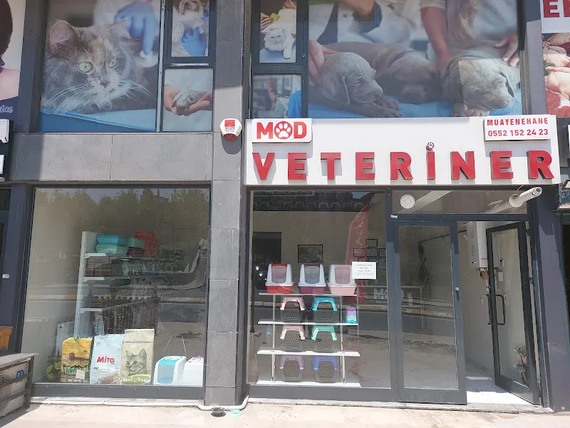 MOD Veteriner Kliniği foto 1