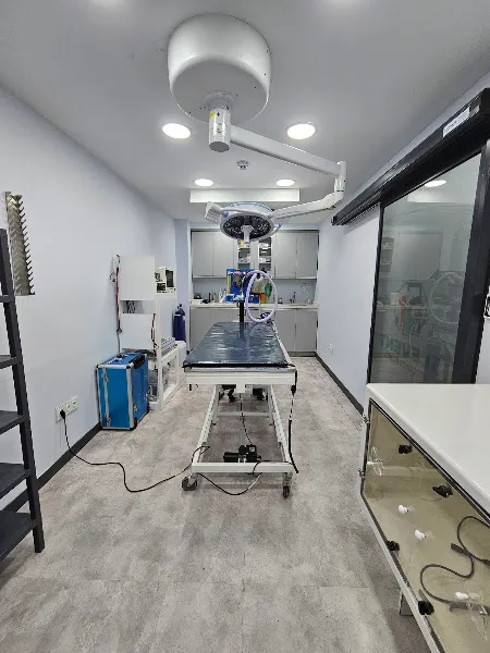 5. Levent Veteriner Kliniği foto 1