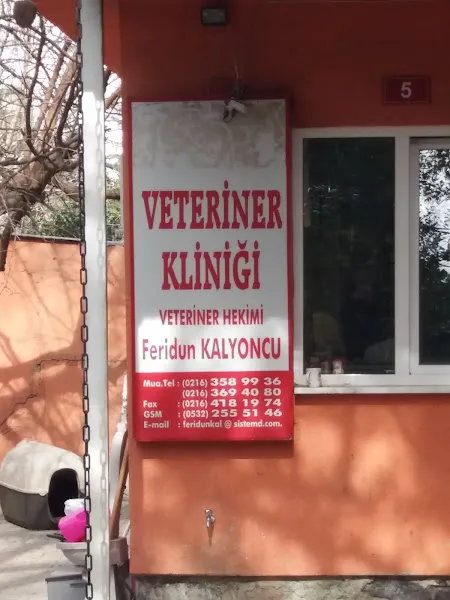 Rv Veteriner Kliniği foto 1