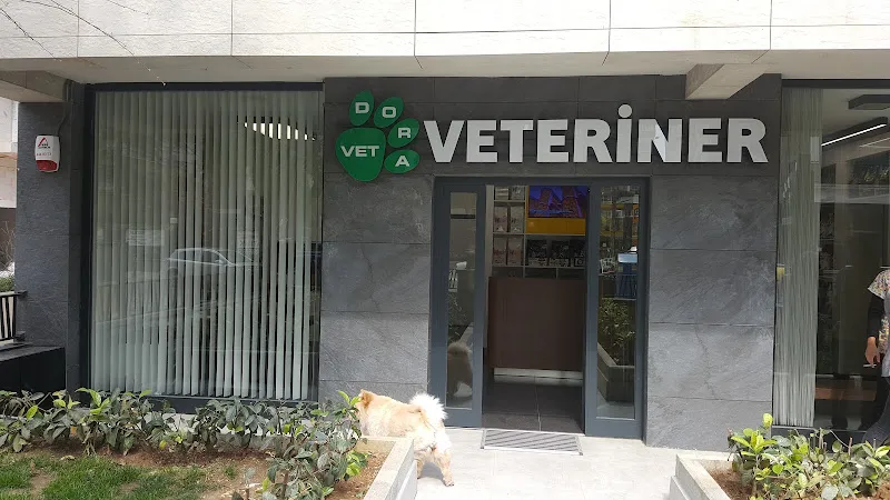VETDORA Veteriner Kliniği foto 1