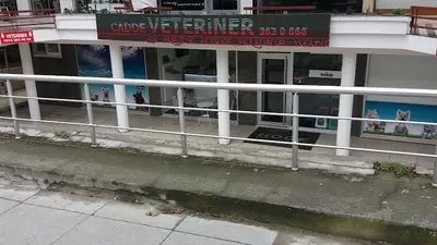 Cadde Veteriner Kliniği