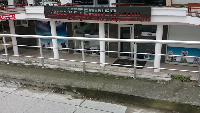Cadde Veteriner Kliniği foto 1