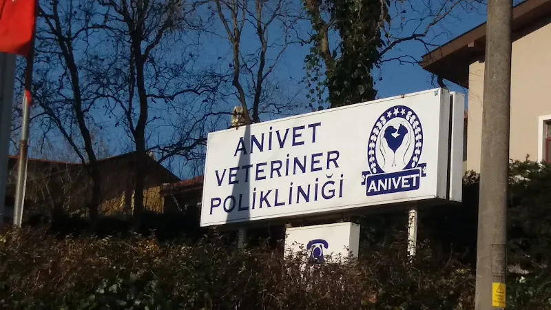 Anivet Veteriner Kliniği foto 1